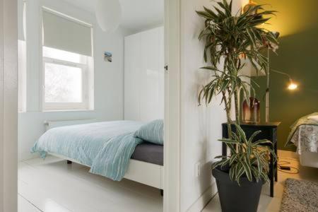 Adam & Eve - Apartment Amsterdam Exterior photo
